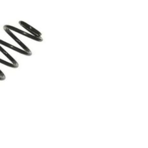 SPRING COIL REAR