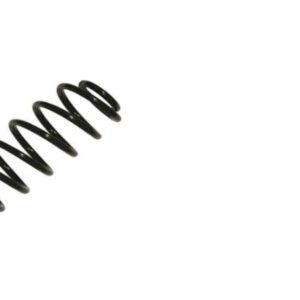 SPRING COIL REAR