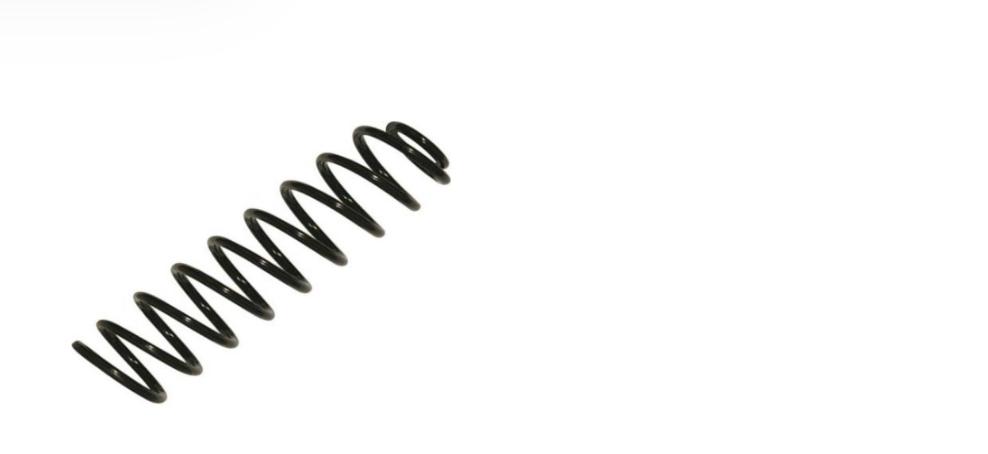 SPRING COIL REAR