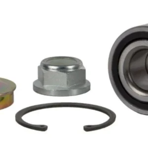 W/BEARING RENAULT CLIO 1/2 99-04 NON ABS
